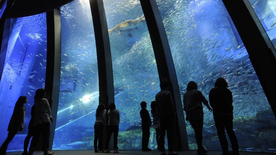 ＜横浜・八景島シーパラダイス＞水族館もアトラクションも楽しめるワンデーパス引換券付プラン（朝食付）